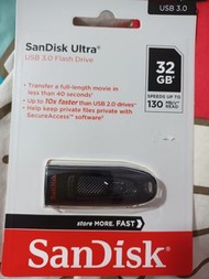 SanDisk 32GB usb