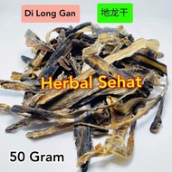 Termurah !! 50 gram Cacing Tanah Kering / Lumbricus Rubellus / Obat