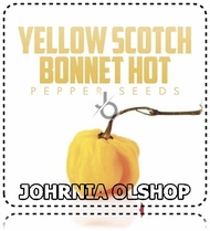 Johrnia 5 Benih Biji PEPPER Yellow Scotch Bonnet