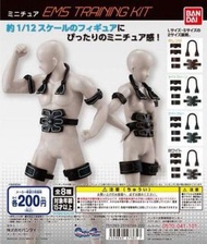 #47365 扭蛋 1/12 肌肉訓練 EMS training kit 全8款