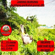 JARING BURUNG TILANG p15 JALA JEBAK CANGKURILANG JALA JEBAK BURUNG TILANK JARING BURUNG PERKUTUT JAR