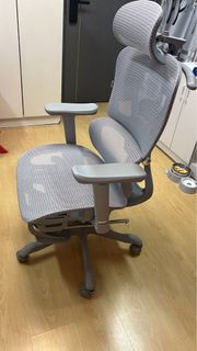 Ergonomic 辦公椅