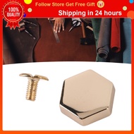 Forest Back Screws Hex Studs Delicate Finish Rivet Zinc Alloy Boast 50 Rivets and Slotted for Belts 