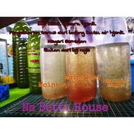 HYGIENIC MOINA THAI, MOINA SP & DAPHNIA MAGNA