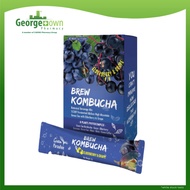 GREEN PARADISE BREW KOMBUCHA ELDERBERRY 5G 10S