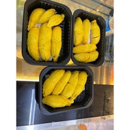 10KG of Blackgold MSW Pahang Raub | 30 Yrs Old Tree | Creamy & Bitterness 60% | Vacuum Pack | 4-5 Bo