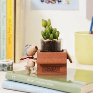 🆕 #SNOOPY代購 Wooderful life🇹🇼 📦預購 台灣代購 Wooderful life PEANUTS SNOOPY 史努比飛行員 木製盆器 多肉盆栽罐 [查詢．購買請Wts/sig