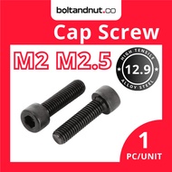 M2 M2.5 Hex Socket Cap Screw DIN912 | Alloy Steel Grade 12.9 | Black Oxide | M2 Screw M2.5 Screw | S