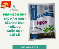 Tạo mầm hoa - kích ra hoa trái vụ - chặn đọt - già lá - Phân bón MKP - Siêu mầm hoa (1Kg)