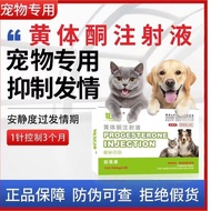 Yyyy4.7 For Dogs For Dogs For Animals Inspiration Needle Determination Needle Dogs Cats Female Dogs 
