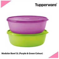 Tupperware Modular Bowl 3L Green Purple Food Container with Lid/Cover