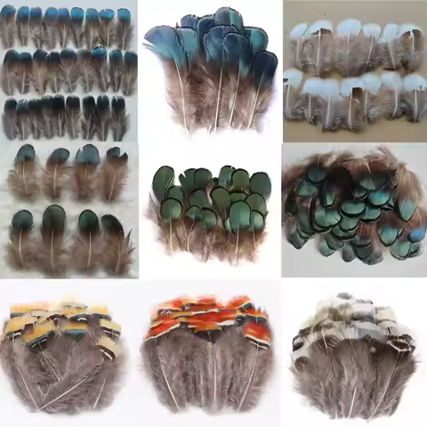 50Pcs/lot Lady Amherst Pheasant Body Plumage Feathers,Loose Small Feathers for Diy Carnival Costume 