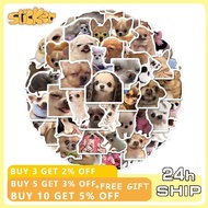 120PCS Chihuahua Stickers Funny Animal Dog Meme Graffiti Decals Decoration Luggage Stickers Toy