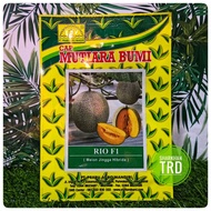 Paket 10g (550biji) RIO F1 Biji Benih Rock Melon Manis Hybrid Rock Melon Seeds Cap Mutiara Bumi Prabu Agro Mandiri Indo.