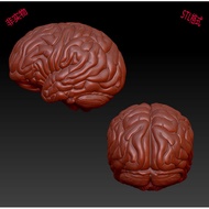 Three-Dimensional Three-Dimensional Pattern Round Engraving Pattern 3D Printing stl Format Brain Mod
