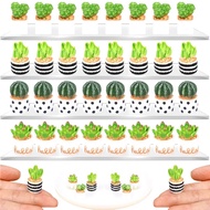 Creative Artificial Resin Cactus Potting Cartoon Mini Potted Micro Landscape Ecological Bottle Succulent Model Home Tabletop Ornaments