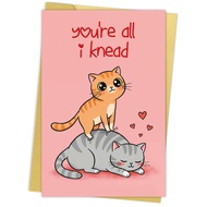 [Coisíní] Pun Cat Anniversary Card, Cute Anniversary Card for Him Her, Sweet Valentine Card & Gifts 