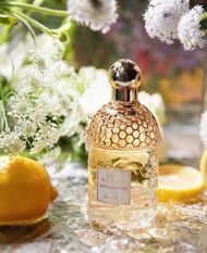 🇫🇷Guerlain Aqua Allegorias嬌蘭花草水語蜜意暖陽淡香水 125ml