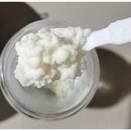 PREMIUM kefir grain probiotics prebiotics Muslim fermenter ibu gut health digestion