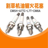 B. b. 145F Lawn Mower Spark Plug L7TC Chainsaw Two-Stroke CM5H Vibrating Flat Ruler 140F Filling Cut