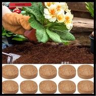 ALABINOH Coco Coir Fiber Potting Soil Environment Friendly Indoor Plants Seed Starter Soil Accessories Garden Supplies Compressed Soil