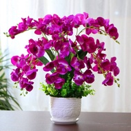 bunga hiasan meja Phalaenopsis bunga simulasi bunga plastik bunga palsu bunga kering hiasan ruang ta