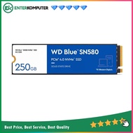WDC Blue SN580 SSD 250GB M.2 NVMe PCIe Gen4x4 250GB SSD/