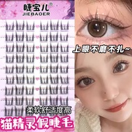 【Shipment Within 24 Hours‌】 Glueless Cluster False Eyelash Natural Volume Cat Eye Lash Book Self Adh