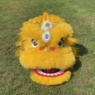 Premium Wool Lion Dance Lion Dance Children Lion Dance Lion Dance Children Lion Dance Lion Dance Tra