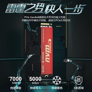 中科存 SSD固态硬盘 M.2接口(NVMe协议)笔记本台式机电脑适用 高速低耗能  TLC颗粒 [1TB]PCIe4.0·7000MB/s电竞款