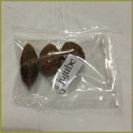 ◶ § ▬ jujube chinese dates mansanitas fruit tree seeds