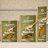 GLUTEN-FREE Two-Headed Pointed PASTA Screw Type PASTA Straight PASTA PASTA GLUTEN FREE