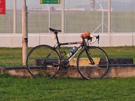 Bianchi sempere pro 可換子彈 山地車 公路車