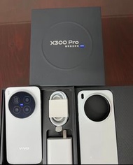 vivo x300 pro 512g