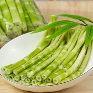 Bamboo shots Deep Mountain Green Bamboo Shoots Sharp 500g Fresh Commercial Jade Green Bamboo Shoots 