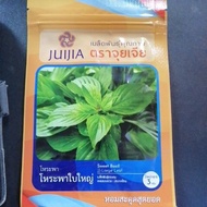 benih​ daun selasih import​ dari​ thailand​