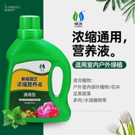 Nutrient solution 盆栽通用型家用水培植物绿萝营养液花肥料富贵竹花卉养花发肥