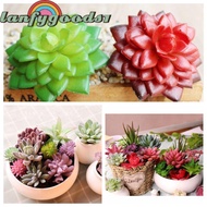 LANFYGOODS Fake Plant Vivid Outdoor Office Miniature Cactus
