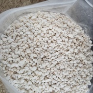 Perlite 3L- potting mix