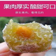 特价20粒40粒酵素梅子酵素青梅孝素梅乌梅零食话梅蜜饯随便果特价20粒40粒酵素梅子酵素青梅孝素梅乌梅零食话梅蜜饯随便果 2025*2*10