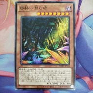 YUGIOH WPP5-JP044 Jungle Dweller (N)
