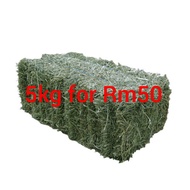 premium Timothy hay 5kg