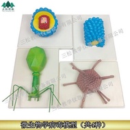 HIV model cell model virus amplification model science teaching model organism microbiology