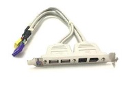 技嘉 原廠USB 擴充卡 2孔 擴充線 9PIN