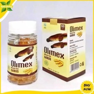 READY - OLIMEX - OLIMEX KAPSUL - KAPSUL OLIMEX - ALBUMEX