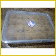 ☜ ♙ ㍿ Graham Balls Original Honey Grahams 24 pcs