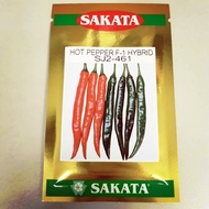 sakata 461 chilli seed