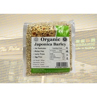 Organic Japonica Barley Organic Barley 500g