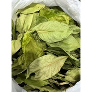 Bay leaves Dried/s (indonesian bay leaves)