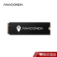 Anacomda Python I2 256gb Ssd Ssd Pcie Gen3X4 Nvme Shopee